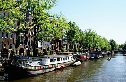 amsterdam bye bye allergies